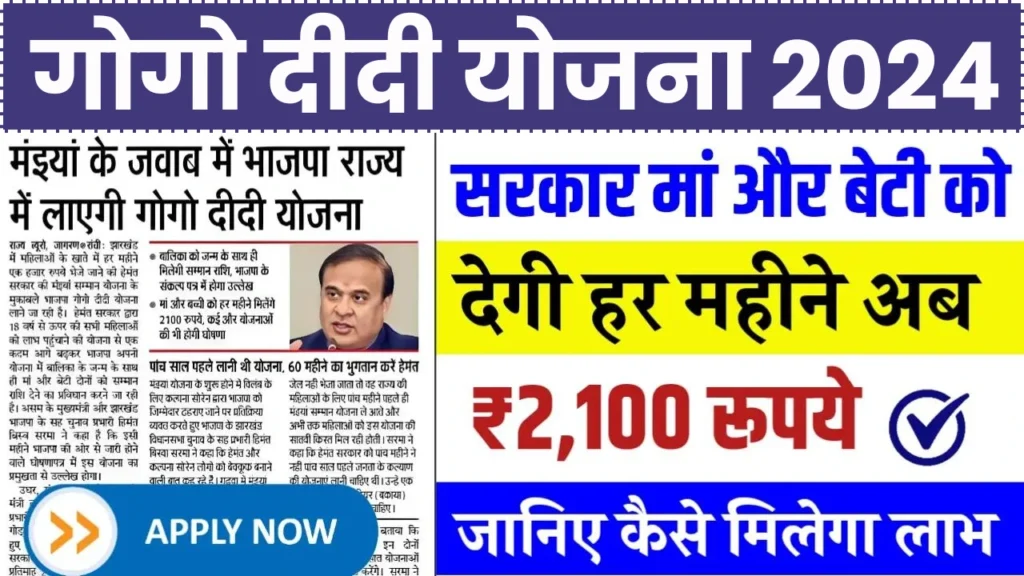 Gogo Didi Yojana Form